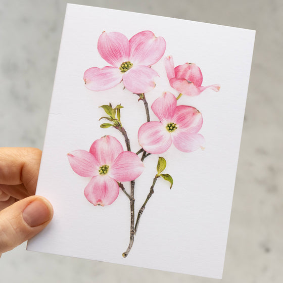 Card - Pink Dogwood