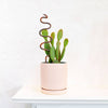 Plant Snake Stake: Ivory + Terracotta / Medium