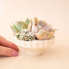 Delphine Low Bowl | Vintage White Speckle: 6.5 inch