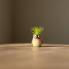 Baby Hummingbird - Mini Blobhouse Planter - Bitty