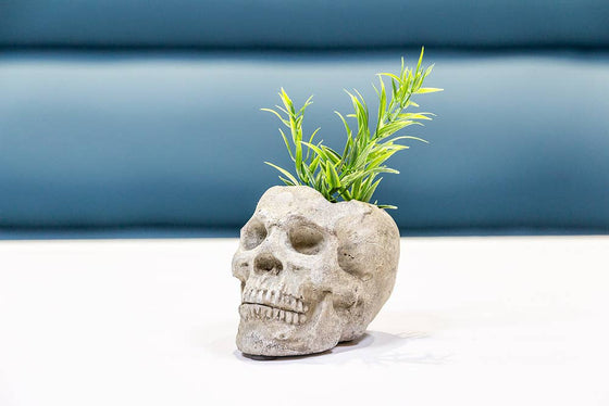 Sm Skull Planter/Tealite Holder-3"H