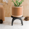 Plant Stand - ARC: Black / Large