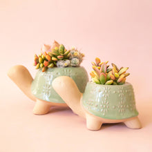  Turtle Planter | Lagoon: S