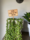 Mothers Day Funny Plant Signs: Happy Mothers Day