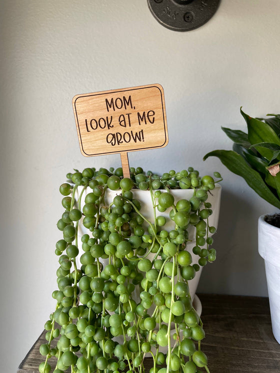 Mothers Day Funny Plant Signs: Mom You Are My Sunshine