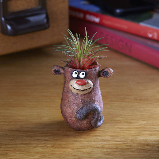 Baby Monkey, Peeper, Mini Blobhouse Planter
