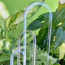  Clear Arch plant trellis : Large