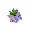 Sara the Triceratops Blobhouse Planter