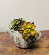 Cement Rustic Teapot Succulent Planter: Medium