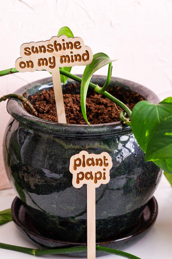 Retro Funny Wooden Plant Markers: Crazy plant lady