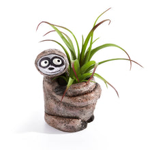  Sitting Sloth Blobhouse Planter - Bodhi