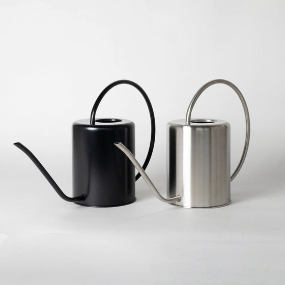 2L Stainless Steel Watering Can: Silver