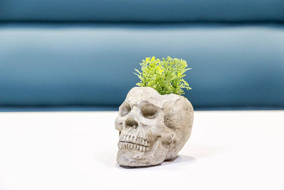 Sm Skull Planter/Tealite Holder-3"H