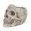 Lg Skull Planter-5"H-970
