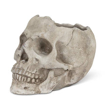  Lg Skull Planter-5"H-970