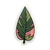 Sticker - Pink Princess Philodendron