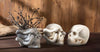 Small Skull Planter with Snake-4.5"H