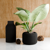 ORBIS Planter: Natural Wood / 4 Inches