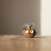 Baby Brown Owl - Owen - Mini Blobhouse Planter