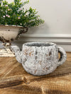 Cement Rustic Teapot Planter