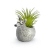 Baby Barney Mini Blobhouse Planter