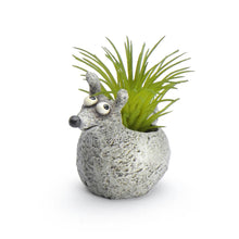  Baby Barney Mini Blobhouse Planter