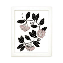  Hoya Carnosa Art Print: 11"x14"