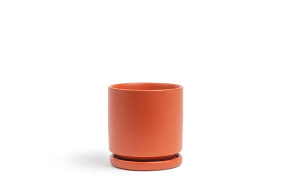 10.5" Gemstone Cylinder Pots with Water Saucers: Bubblegum