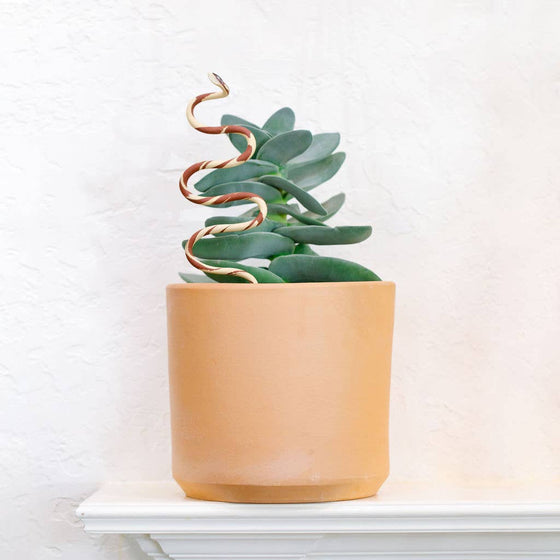 Plant Snake Stake: Ivory + Terracotta / Medium