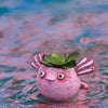 Alexander Axolotl Baby Salamander Blobhouse Planter