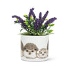 Sm Hedgehog Family Planter-4.5"