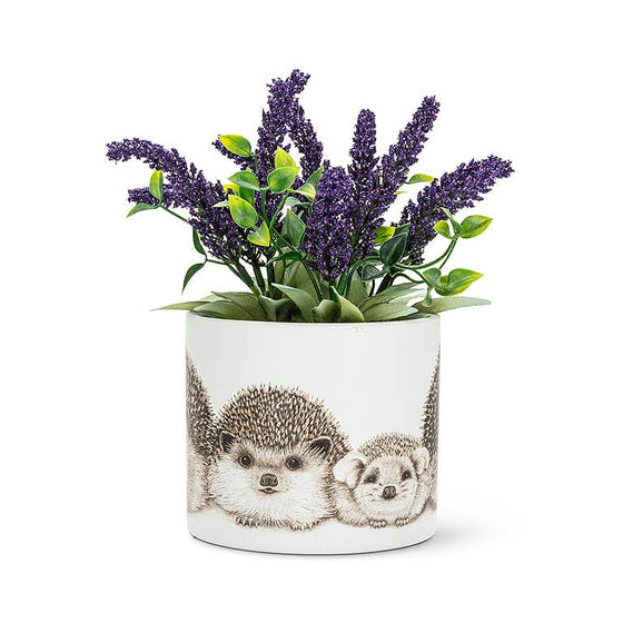 Sm Hedgehog Family Planter-4.5"