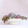 Luna Boat Bowl | Vintage White
