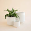 Lucy Pot | White : 4.5 inch