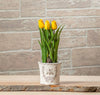 Small Emboss Bee in Crest Planter-3.5"H