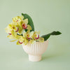 Priscilla Compote | Vintage White: 6 inch