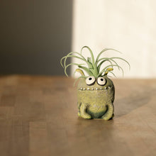  Bloomies Orbit Blobhouse Planter in Green