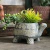 CEMENT CYAN TURTLE PLANTER: Large