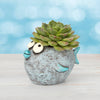 Bubbles Fish Blobhouse Planter