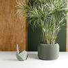 ORBIS Planter: Natural Wood / 5 Inches
