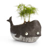 Goliath Whale Blobhouse Planter