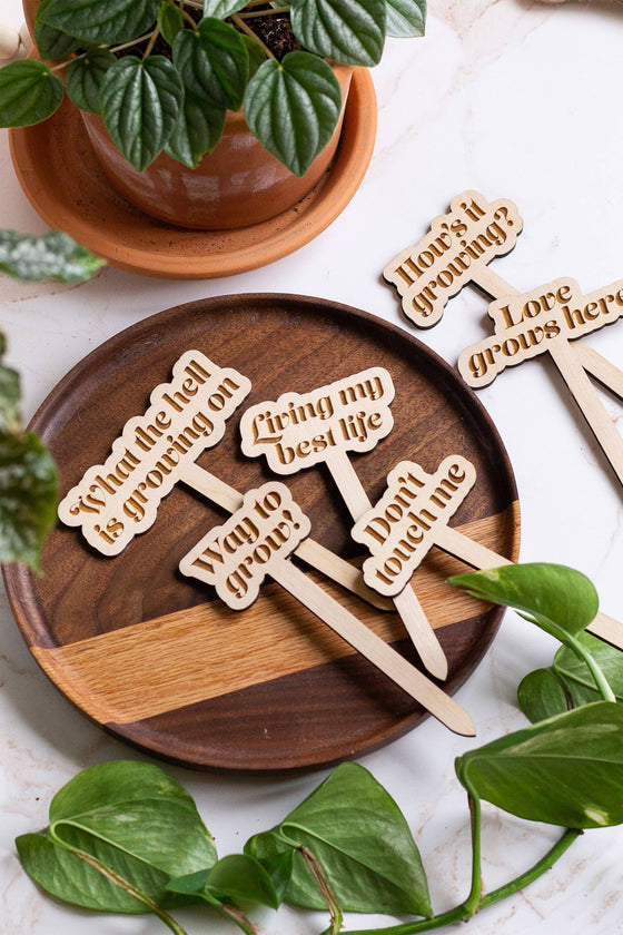 Funny Wooden Plant Markers: Cute AF