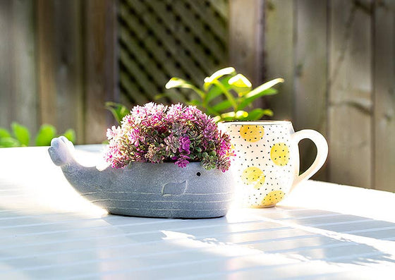 Sm Whale Low Planter-8"L