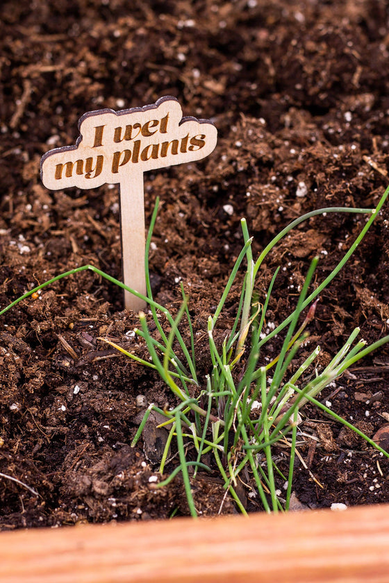 Funny Wooden Plant Markers: Stayin' Alive