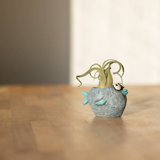 Bubbles Fish Blobhouse Planter