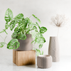 ORBIS Planter: Natural Wood / 5 Inches