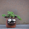 Duke Boxer Dog Blobhouse Planter