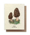 Morel Mushroom Plantable Wildflower Seed Card: Glassine Sleeves