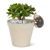 Climbing Hedgehog Pot Hanger-3.5"L-849