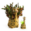George the Giraffe Blobhouse Planter
